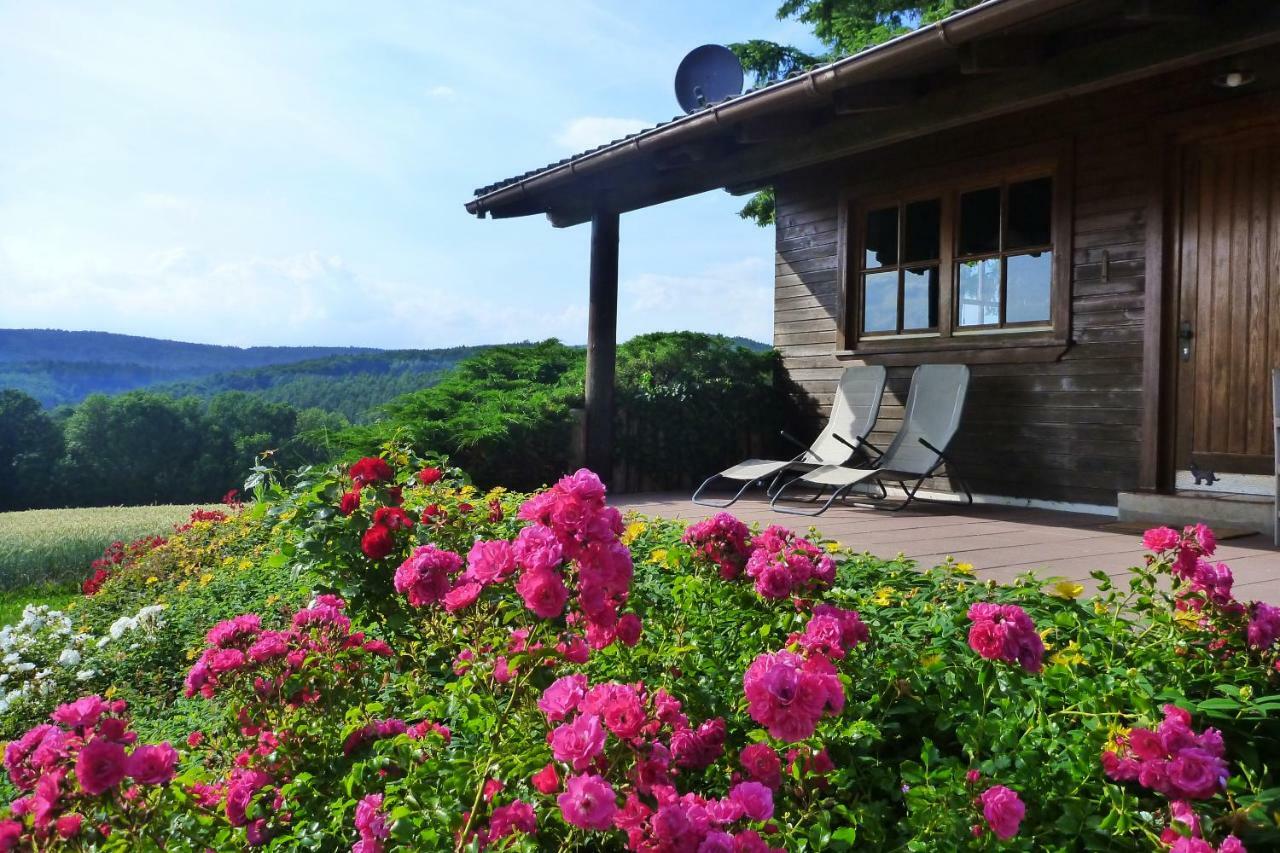 Ellernhof Im Spessart Villa Stadtprozelten Ngoại thất bức ảnh