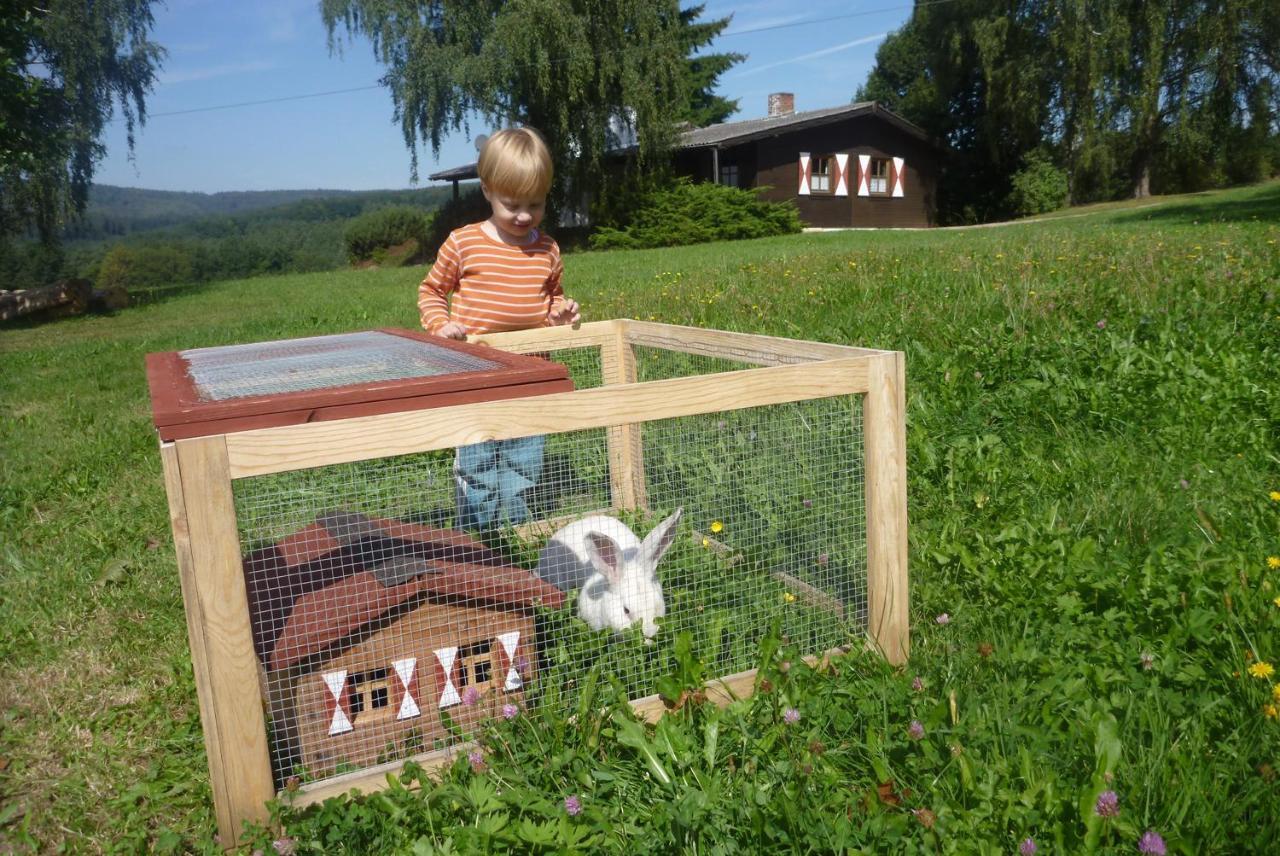 Ellernhof Im Spessart Villa Stadtprozelten Phòng bức ảnh
